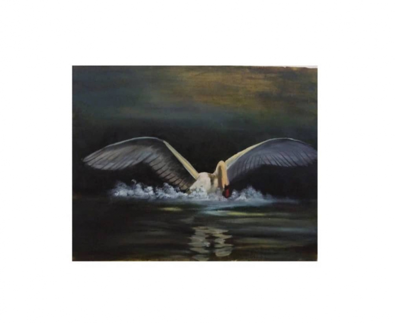 Parnaz Nasiri  - Swan - پرناز نصیری